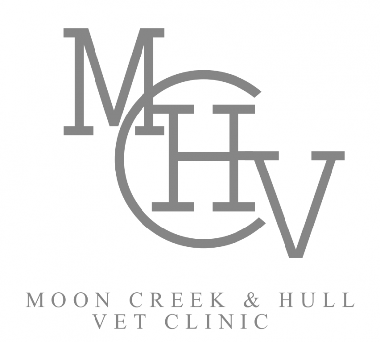 Hull Vet Clinic